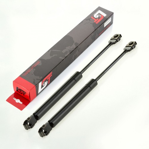 Gasdruckfeder lifter - 2x,