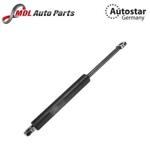 Autostar germany bonnet - bonnet, strut